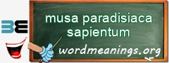 WordMeaning blackboard for musa paradisiaca sapientum